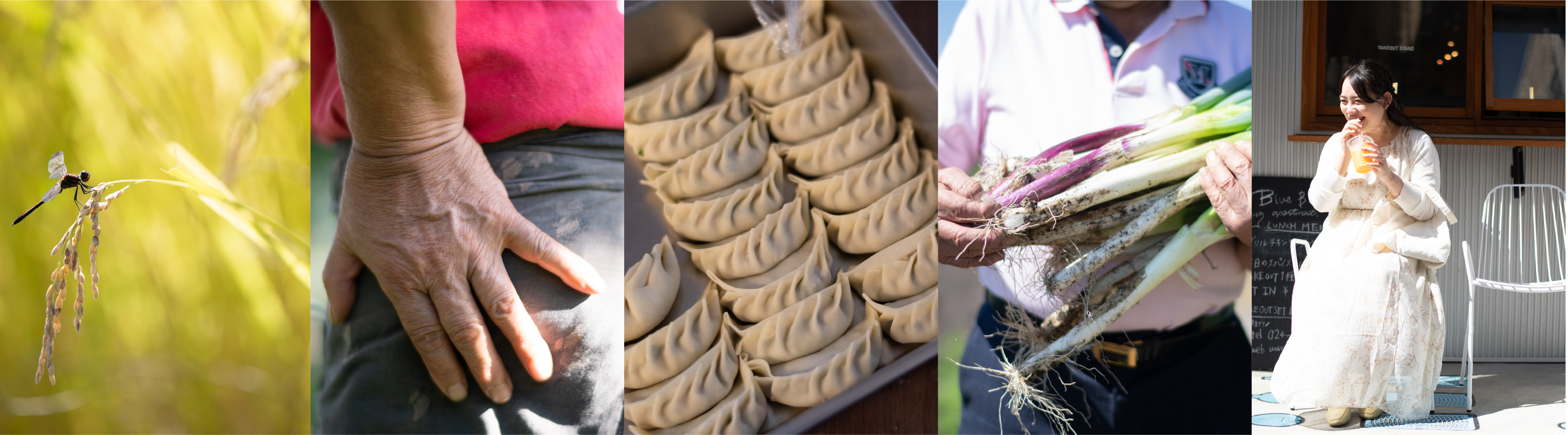 福島県地域の紹介