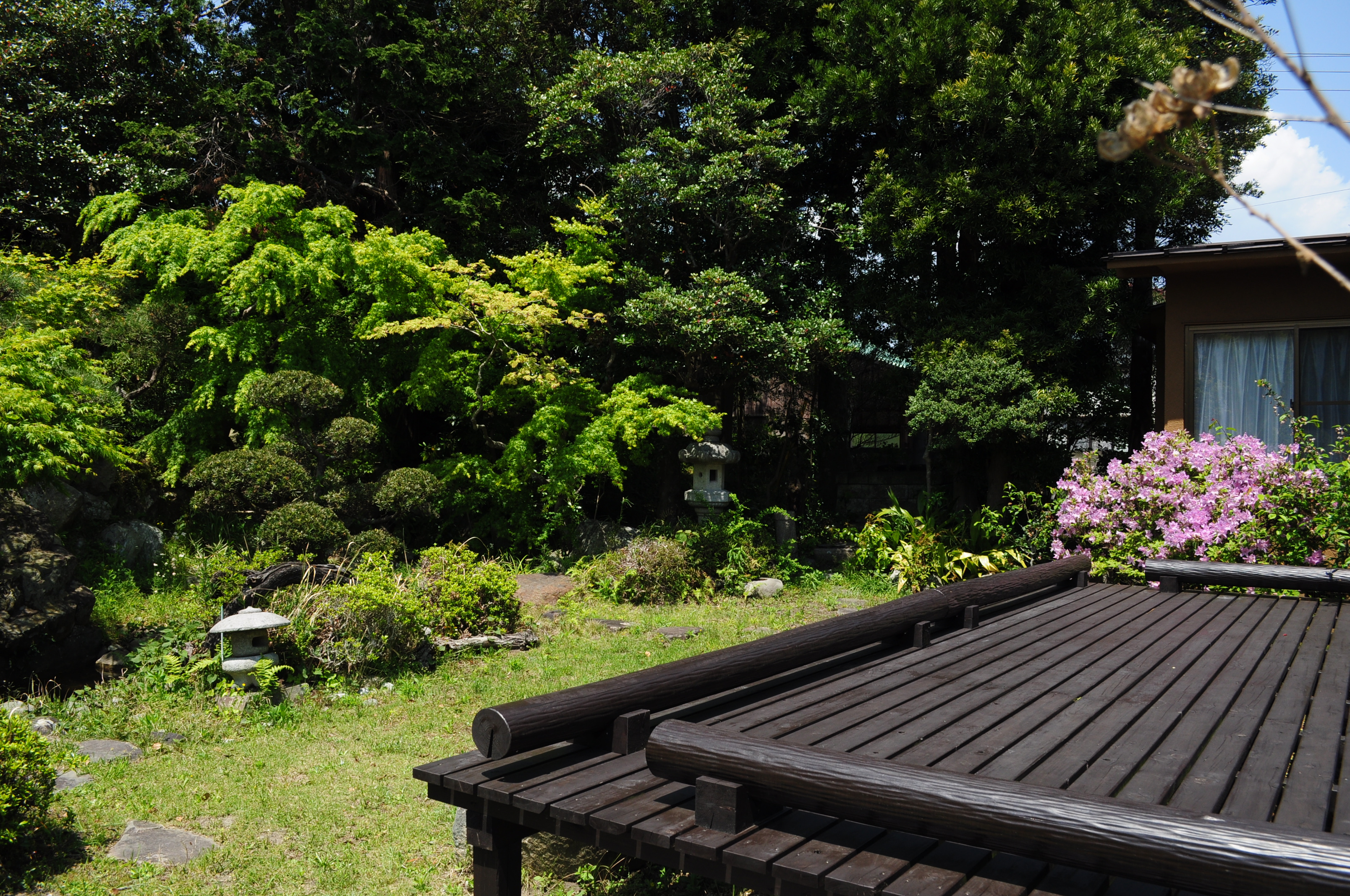 kaori さんの 美味しい自然栽培野菜ビーガンフード