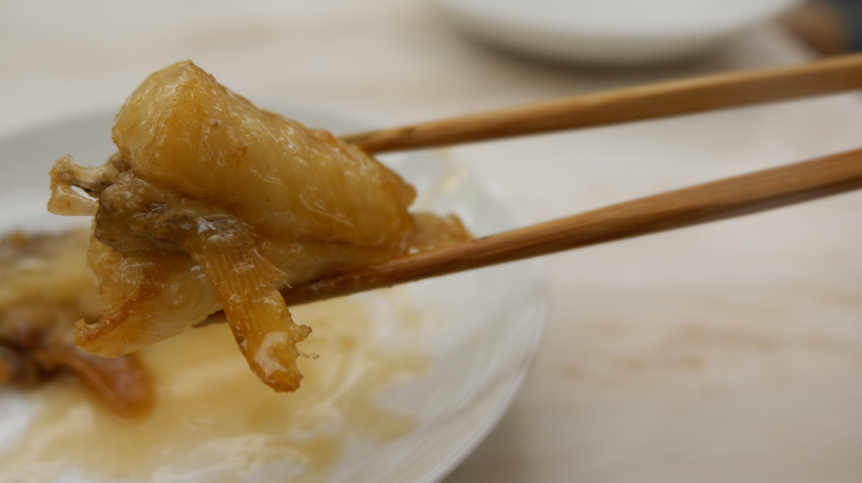 Kazuma さんの 漁師町で漁師と食べるホンマもんの漁師料理