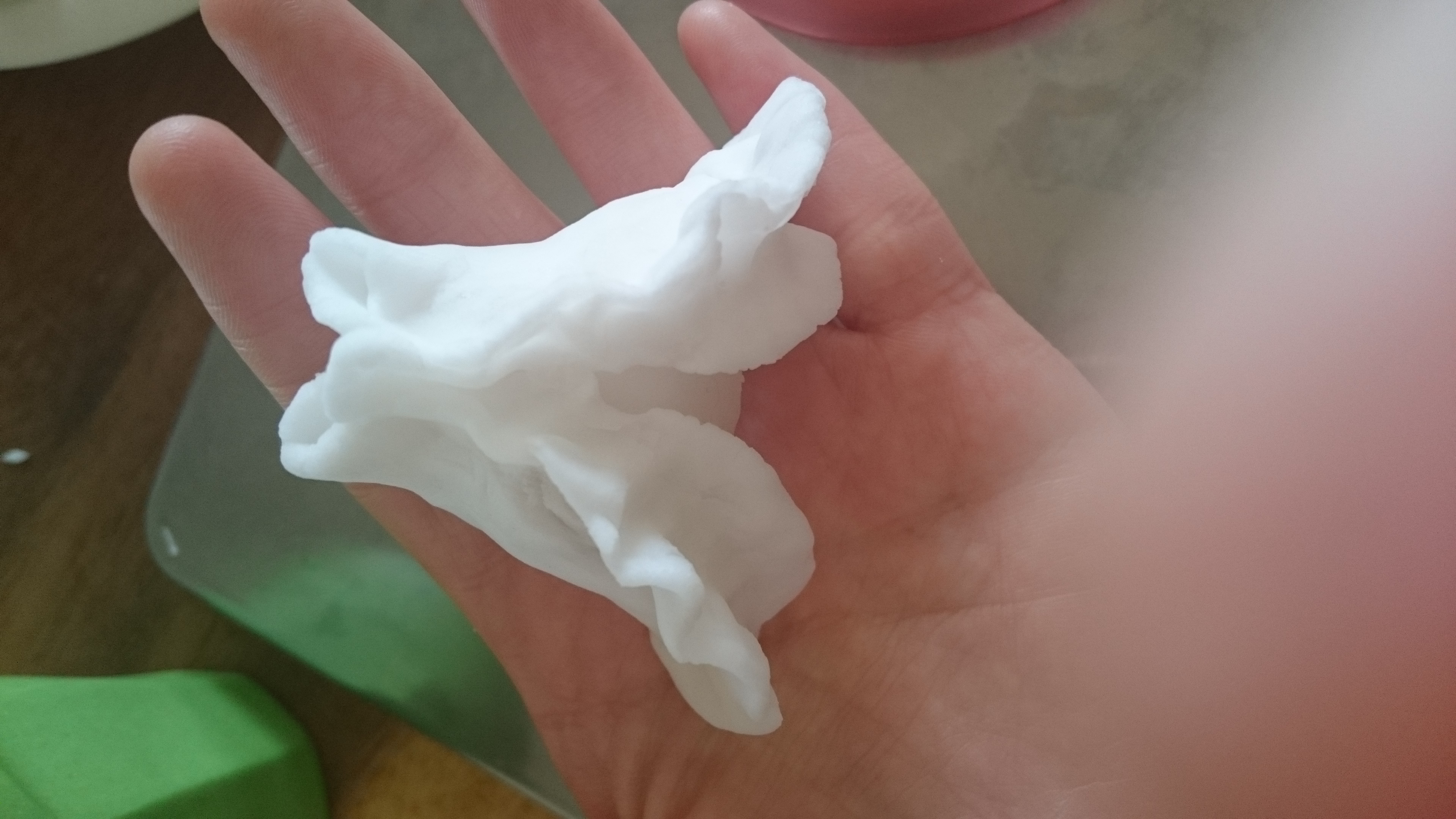 Yoko さんの 金魚餃子教室