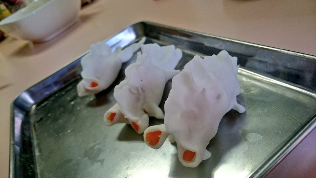 Yoko さんの 金魚餃子教室