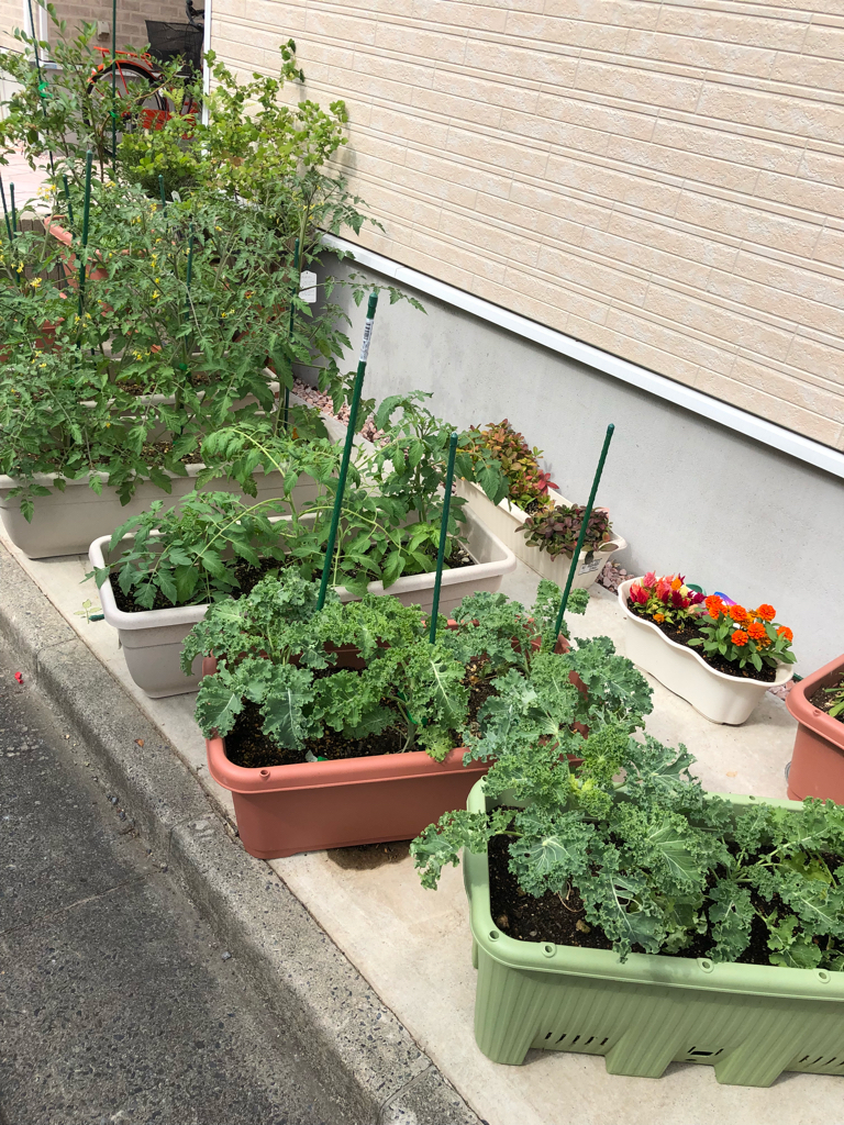 体を変えるこしらえごとキッチン さんの 「日替わりごはん」を一緒に食べよう！