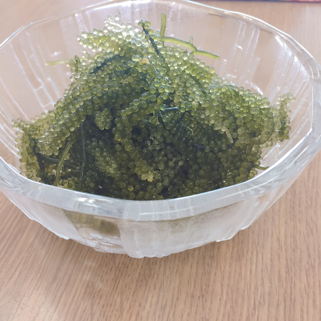 KitchHike User さんの ★ワークショップ★ みんなで作る 夏の沖縄アレンジメニュー♪（ほか1名参加あり）