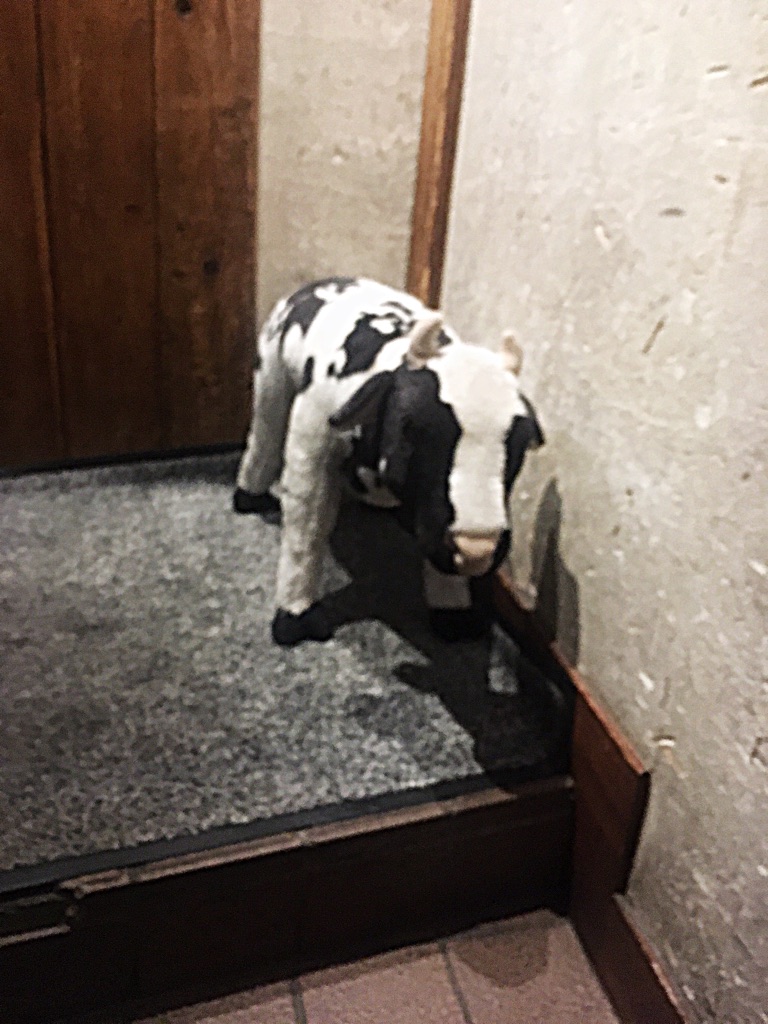 キッチハイク@吟味焼肉 じゃんか 道玄坂 さんの 【OZmall】焼肉「じゃんか 道玄坂」でコース料理を楽しもう(¥5,000 ~ ¥5,999)