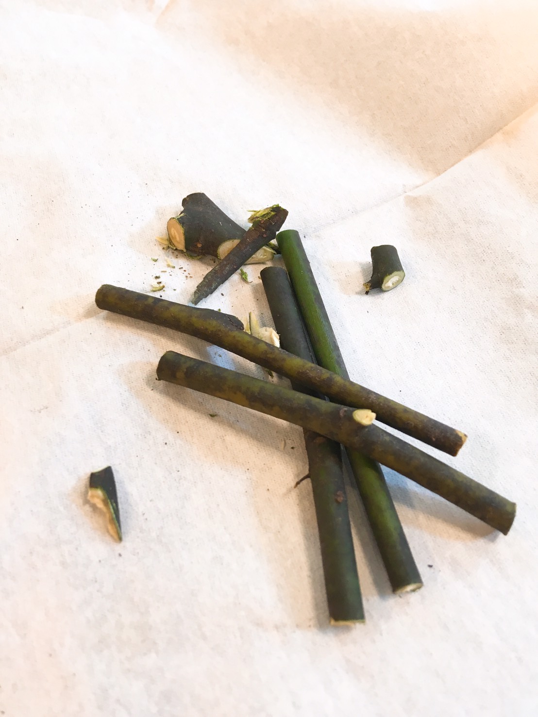 Natsuko さんの 薬草茶ワークショップ　ー野山からの手摘み５０種類の薬草を楽しもう！ー