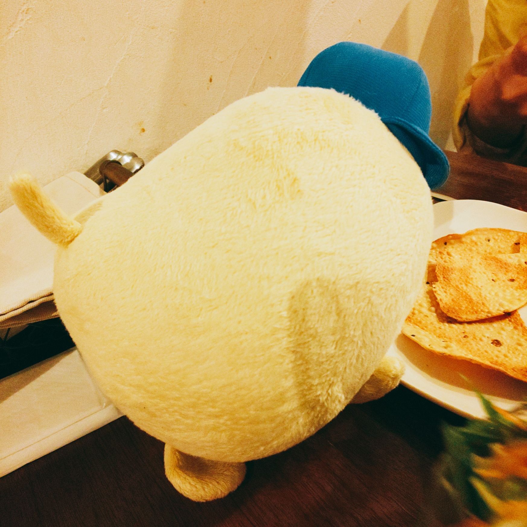 キッチハイク＠Putali Cafe（プタリカフェ）  さんの 【開催決定✨】カフェ「Putali Cafe」で本格ネパールカレーを頼もう(¥1,000 ~ ¥1,999)