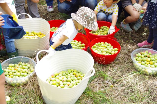 サゴイシオリ さんの フレフレおやさい！＜工作教室と料理教室の中間のような・・学びと遊びの親子ワークショップ＞