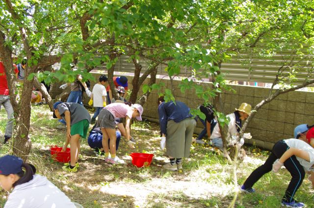 サゴイシオリ さんの フレフレおやさい！＜工作教室と料理教室の中間のような・・学びと遊びの親子ワークショップ＞