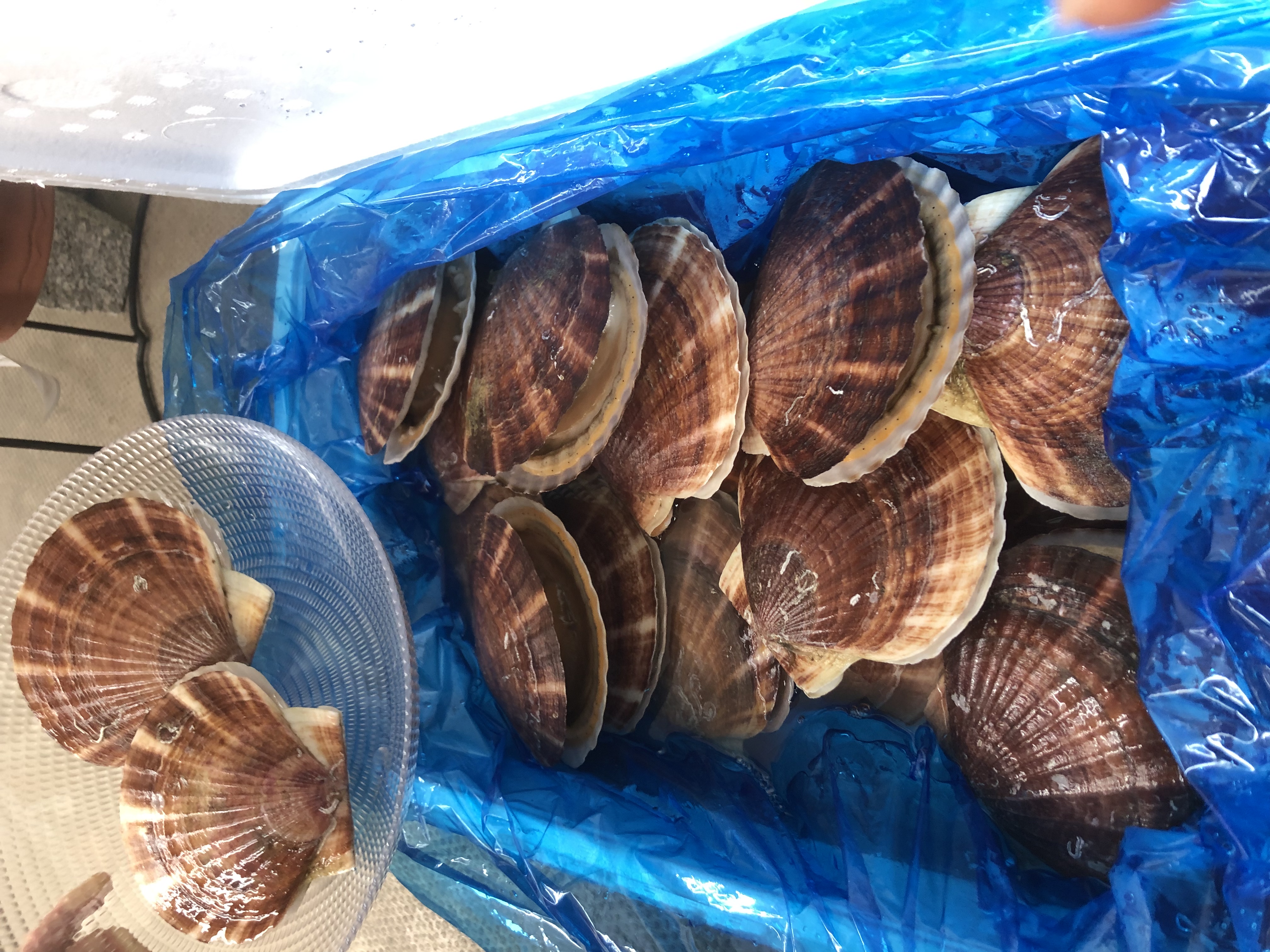 Emi さんの YoshikoとEmiの岩手三陸より採れたてホタテを味わおう！Emiのスペシャルデザート付き💖‼️