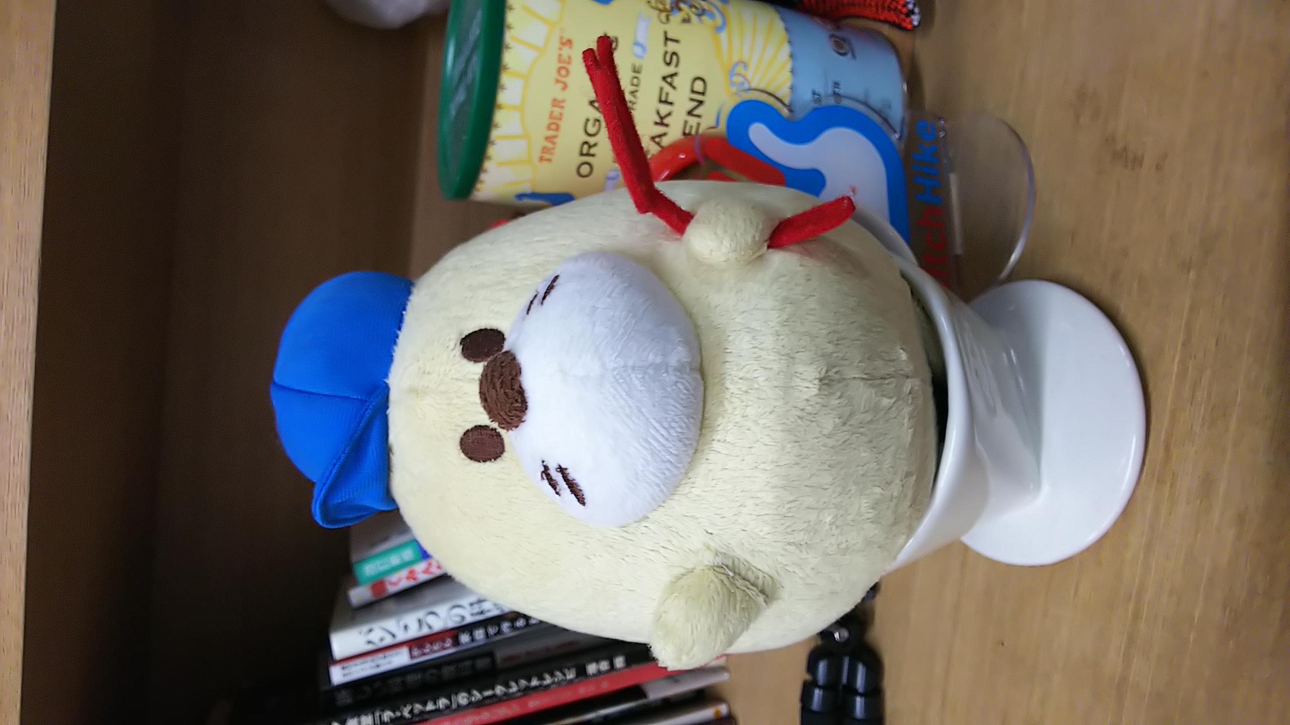 フーテンの漁師ノブちゃんマン さんの 【満員御礼】現役漁師シリーズ三部作〜第一弾「高級なカラフル○○焼きを作ろう」（昼の部）〜（他サイトから昼夜合わせて30人）