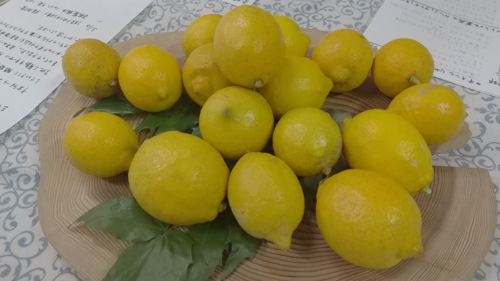 masae さんの タイ＆ラオスで見つけた発酵　✖️醤のペアリングPARTY