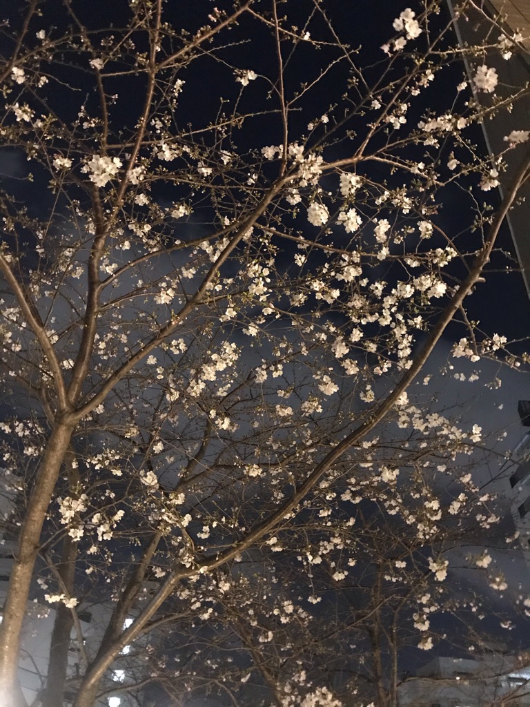 MARZAC 7 さんの 【30代限定】ワインに合う炭火焼きが自慢！目黒川沿いの一軒家バルで贅沢なひとときを