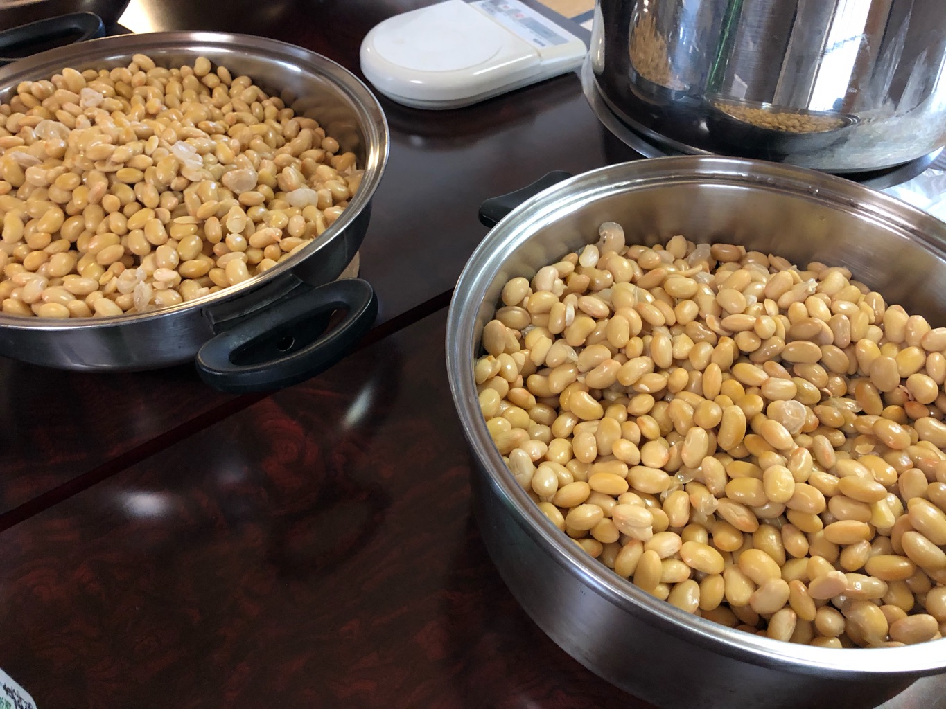 ながりな　ーテーマ型Cookー さんの 【ほか一人参加者あり】ネパールのモモを包んで食べよう！【20〜30代限定】