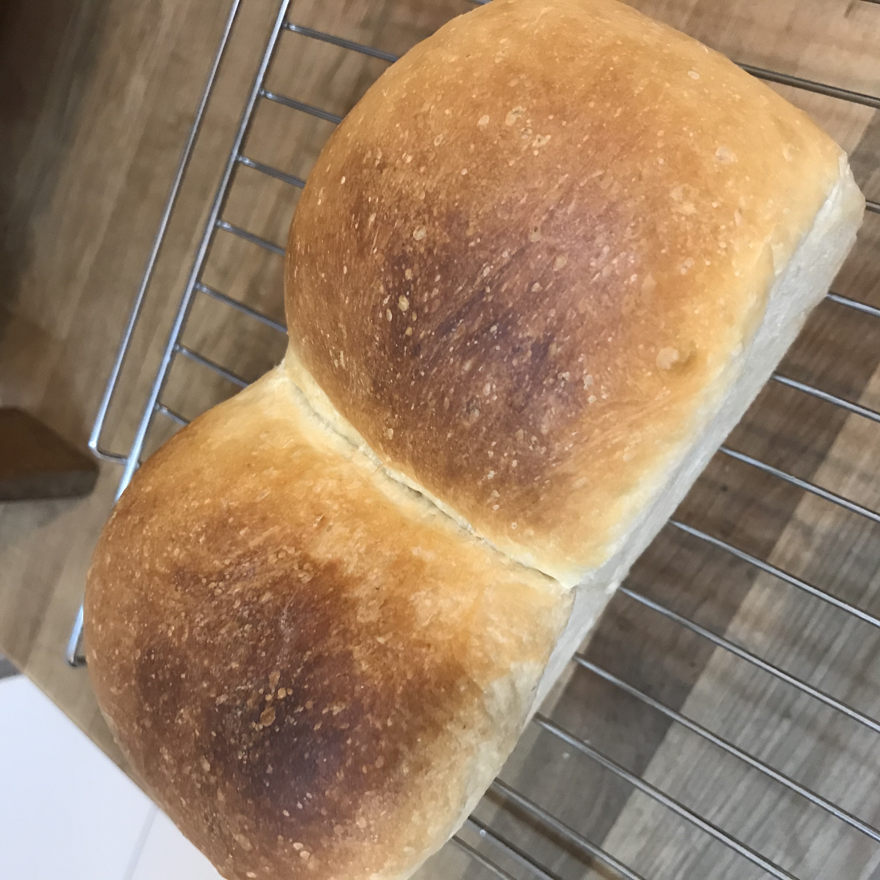 Yuko さんの ✨2時間でできるフランスパン　〜フルーツカンパーニュ〜