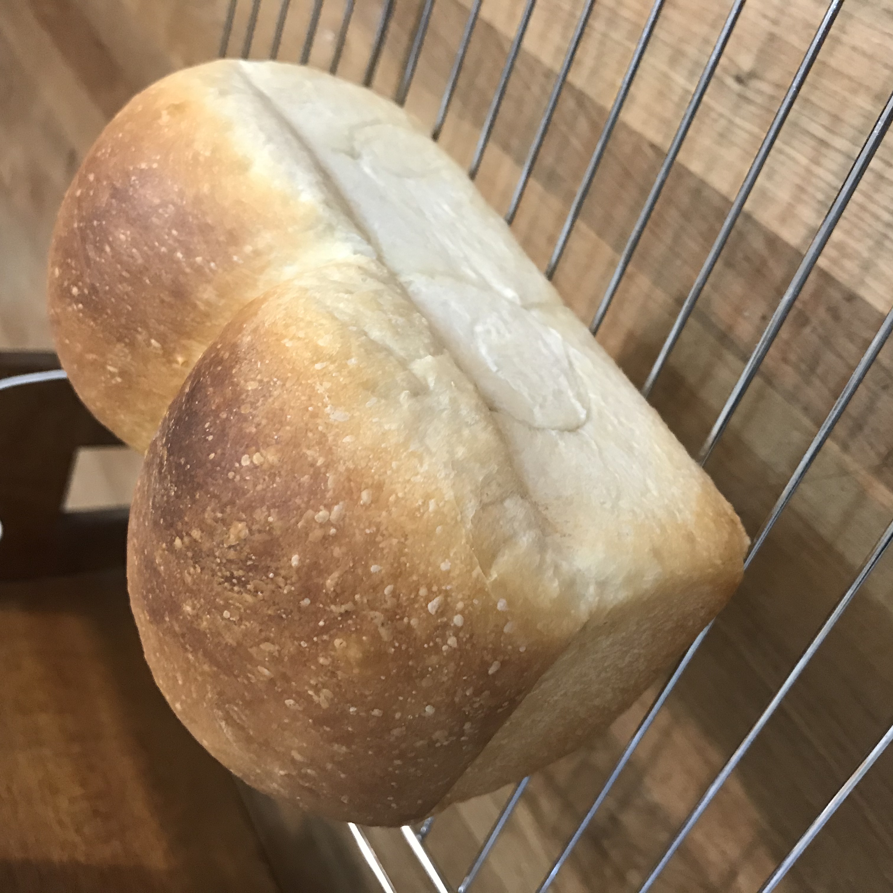 Yuko さんの ✨2時間でできるフランスパン　〜フルーツカンパーニュ〜