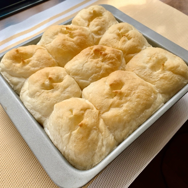 葵 さんの サメ🦈×イタリアン🇮🇹気仙沼からサメが届きました☆パスタとワインの会Special☆サメナイト！