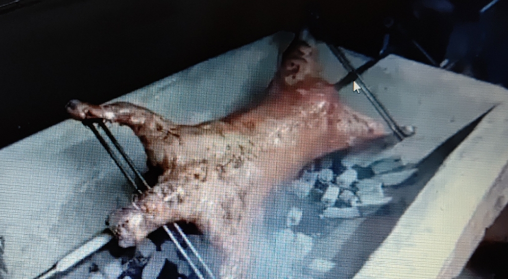 老酒舗 さんの ＼老酒舗に初参加限定！／コスパも抜群と評判のお店！中華料理「老酒舗」で好きな料理を頼もう (¥2,000 ~ ¥2,999)