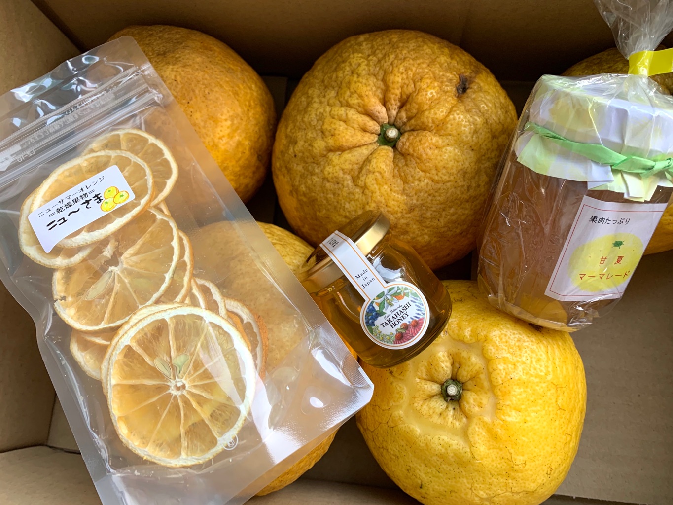 南伊豆町 ×　 南伊豆新聞 さんの 好評につき追加開催！【南伊豆町・静岡県】伊勢海老をご自宅にお届け！伊勢海老漁師が教える伊勢海老の味噌汁、地魚の刺し盛り〜オンラインワークショップ〜