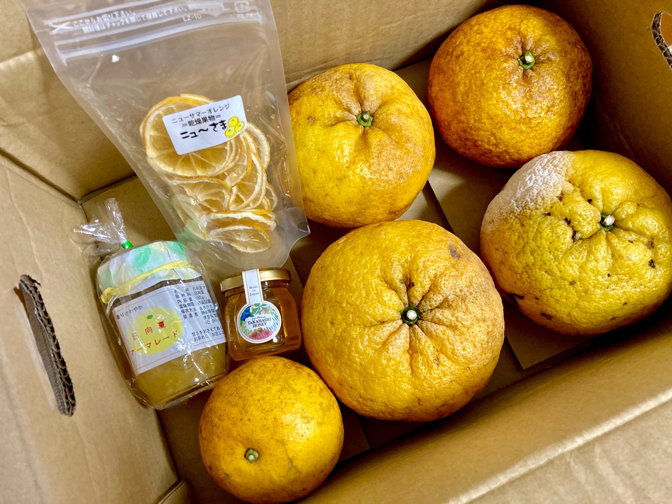 南伊豆町 ×　 南伊豆新聞 さんの 好評につき追加開催！【南伊豆町・静岡県】伊勢海老をご自宅にお届け！伊勢海老漁師が教える伊勢海老の味噌汁、地魚の刺し盛り〜オンラインワークショップ〜