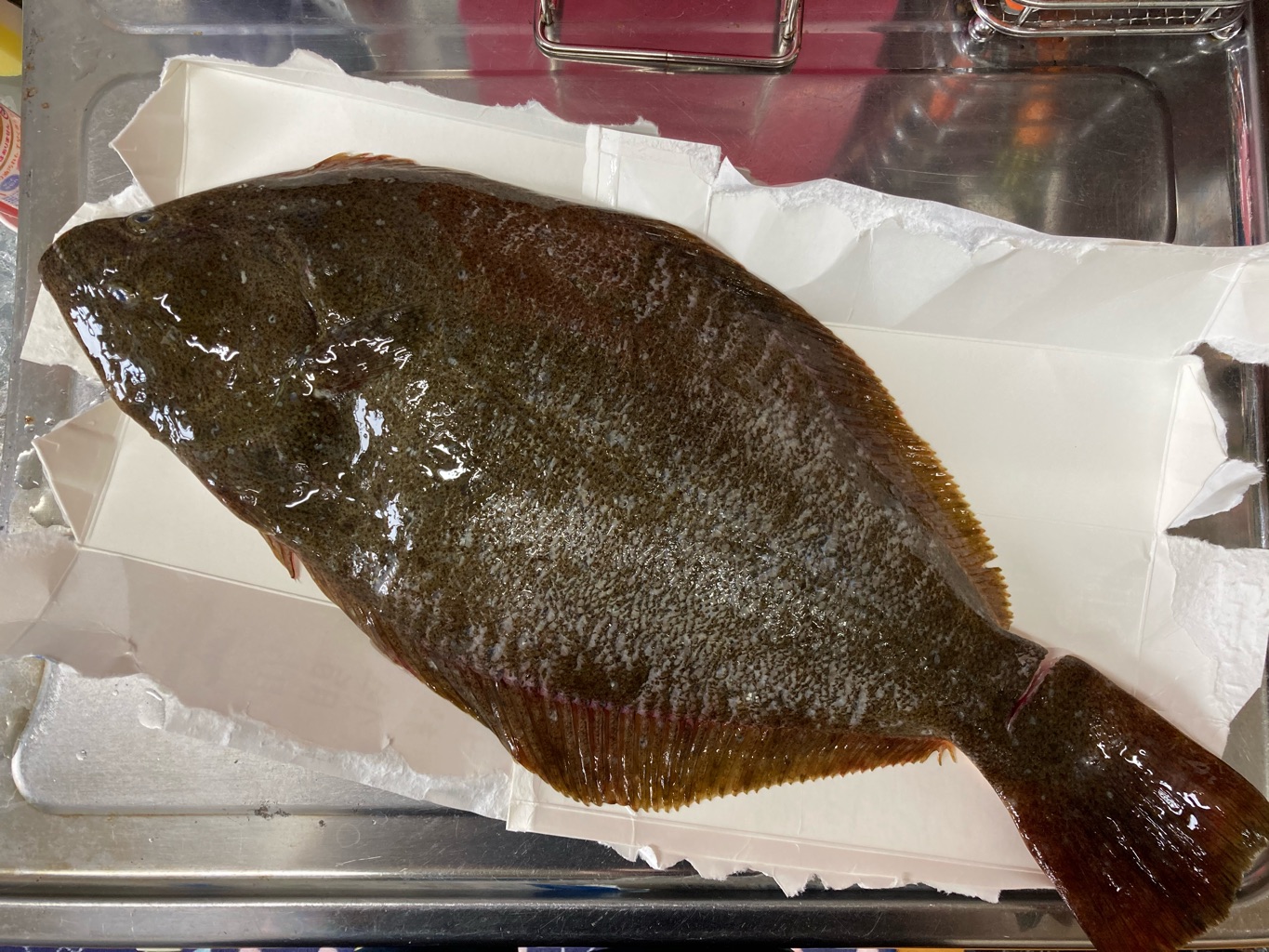 タブレット先生の「福島の今」 さんの 【復興庁×キッチハイク】福島県の海の幸でアクアパッツァを作ろう！「アル・ケッチァーノ」奥田シェフのオンライン料理ワークショップ