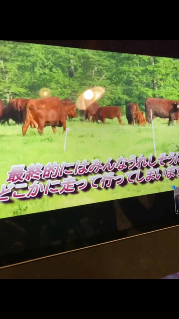 日本草地畜産種子協会 さんの 北海道八雲町の大草原でのびのび育った、北里八雲牛を牛カツで味わおう。＜2/19(金)締切＞