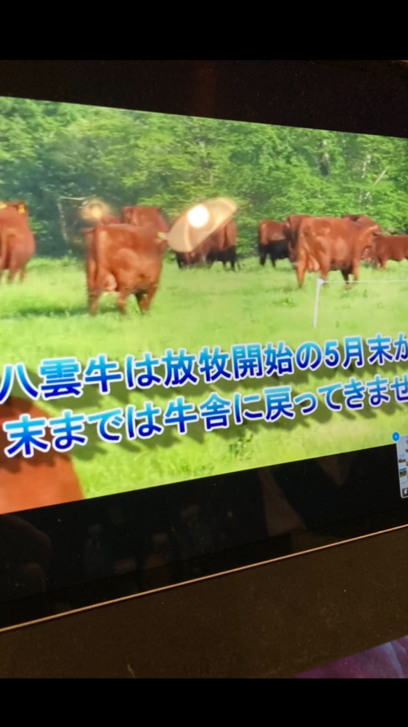 日本草地畜産種子協会 さんの 北海道八雲町の大草原でのびのび育った、北里八雲牛を牛カツで味わおう。＜2/19(金)締切＞
