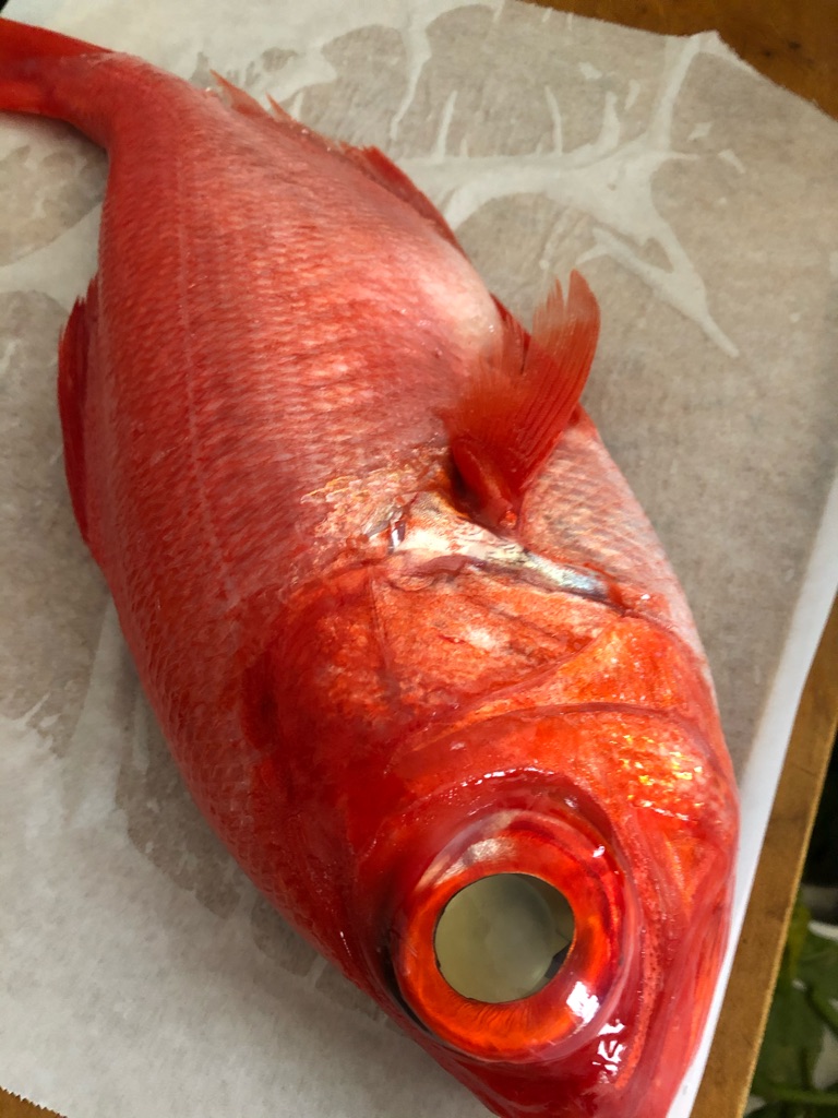 静岡県御前崎市 さんの 静岡県御前崎市で200年続く、伝統製法でつくられた最高級のかつお節。金目鯛のしゃぶしゃぶで、贅沢な香りとうまみを味わってみませんか？