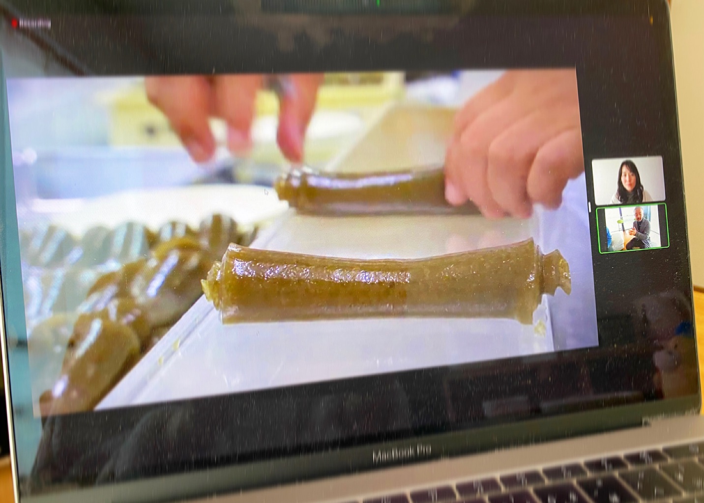 新潟県佐渡市 さんの ＜初夏の海編＞離島・佐渡の新鮮なメバルを捌いて、とっておきのイタリアンを味わおう！