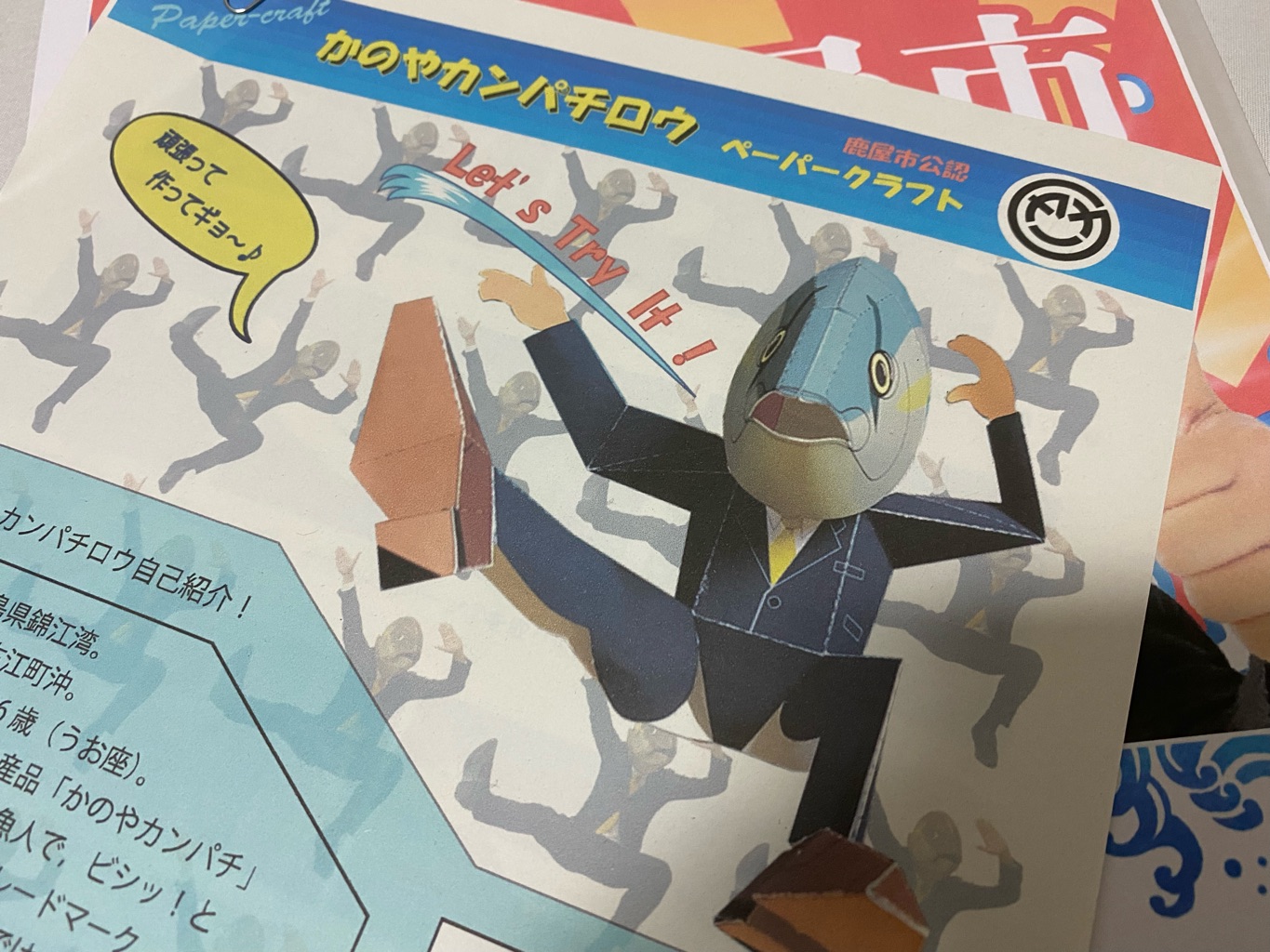 鹿児島県鹿屋市 さんの 船上活〆で驚きの鮮度！"かのやカンパチ”のぷりっぷり食感を「漬け丼」「カルパッチョ」で味わう幸せ晩ごはん