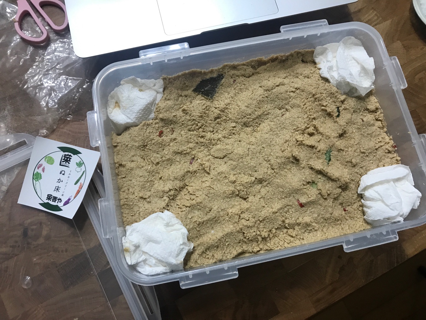 茨城県筑西市 さんの 残暑を潤す、大人の梨クリームソーダ作り。茨城県筑西市の果汁溢れる梨2種をお届け